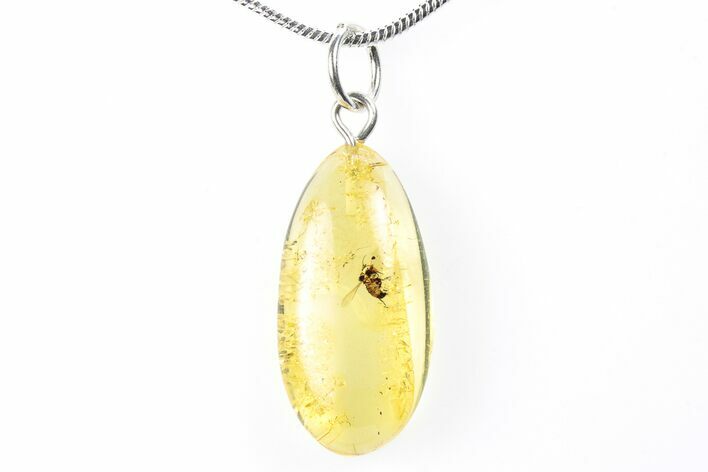 Polished Baltic Amber Pendant (Necklace) - Contains Fly! #288832